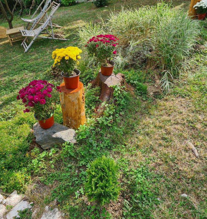 Zlatibor "Jutarnja rosa "apartman