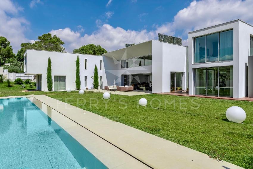 Leo by Terry's Homes