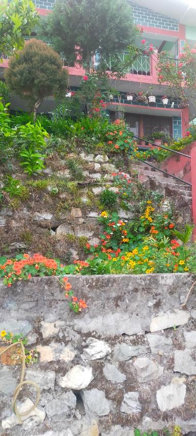 Peaches and Pears Homestay