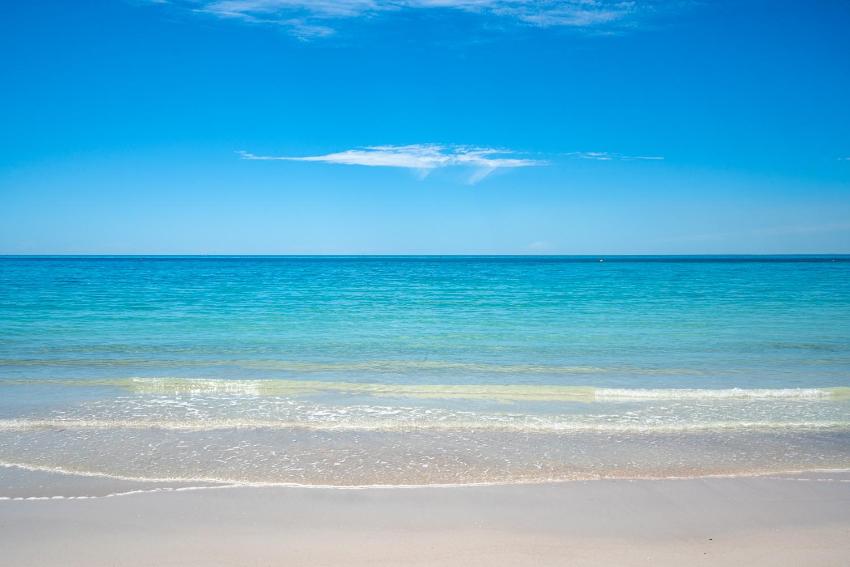 To the Beach - Unit 2 Cape View Resort