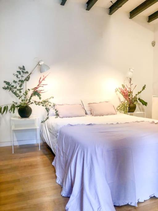 Paller reformat amb encant