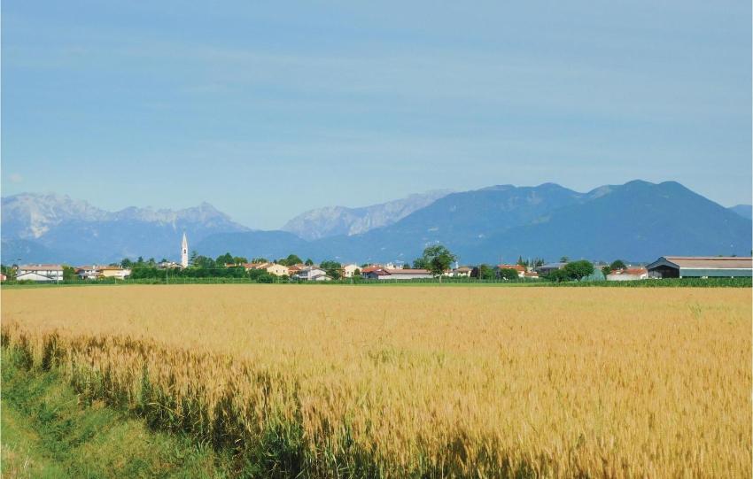 Il barco degli AlidosiO
