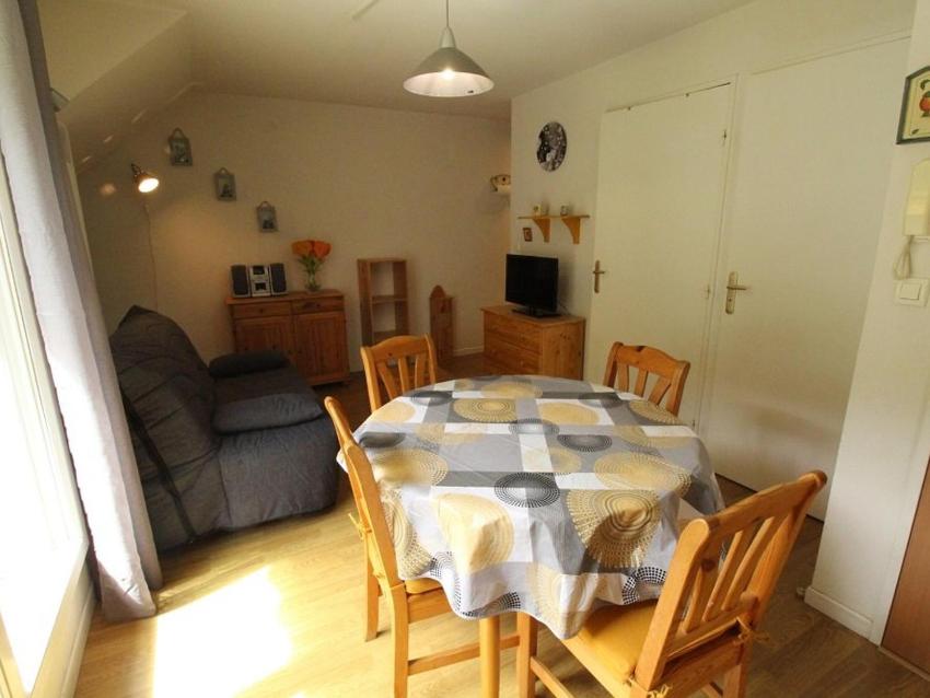 Appartement Bagnères-de-Luchon, 2 pièces, 4 personnes - FR-1-313-182