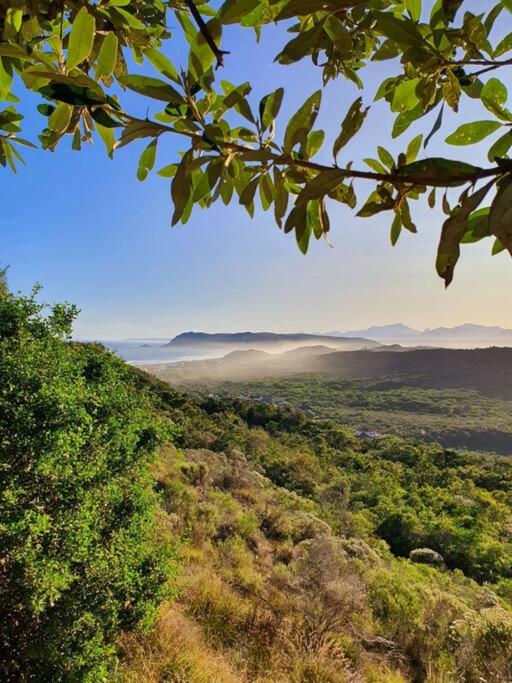 Bellrock 42 -Style, in the Cola Beach Conservancy