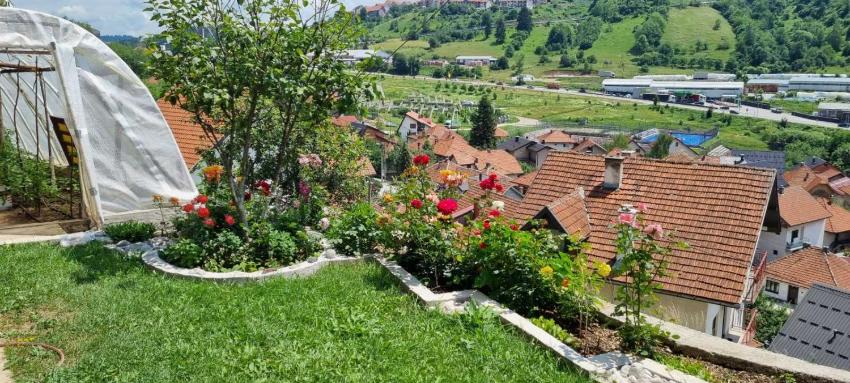 Apartman Studio Teona