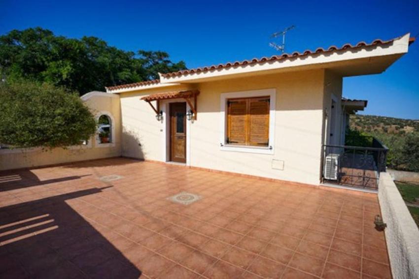 Hydra overlooking cottage.