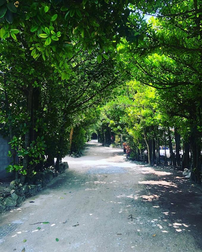 フクギ並木の貸別荘