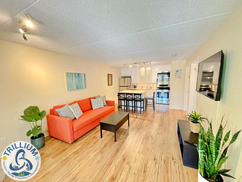 Centrally Located Chic Collingwood Condo