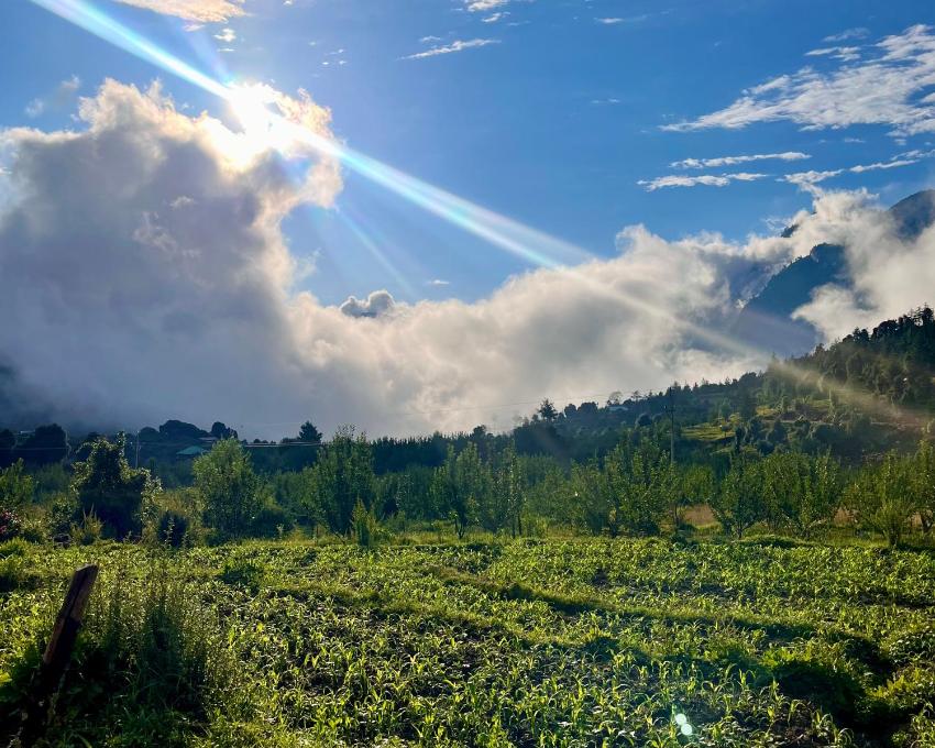 Basic Hut in an Orchard Rehn village