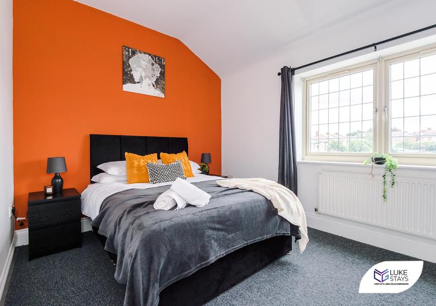 Luke Stays - Field Lane