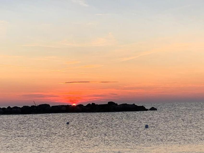 IL COMO' DELLA CIVETTA - Fenice di mare