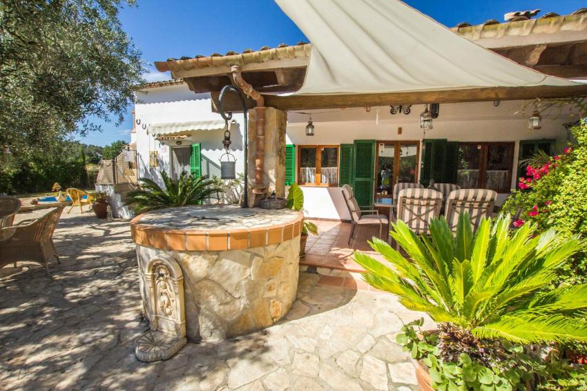 Aleja - Port de Pollensa