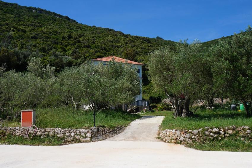 Apartments by the sea Luka, Dugi otok - 8151