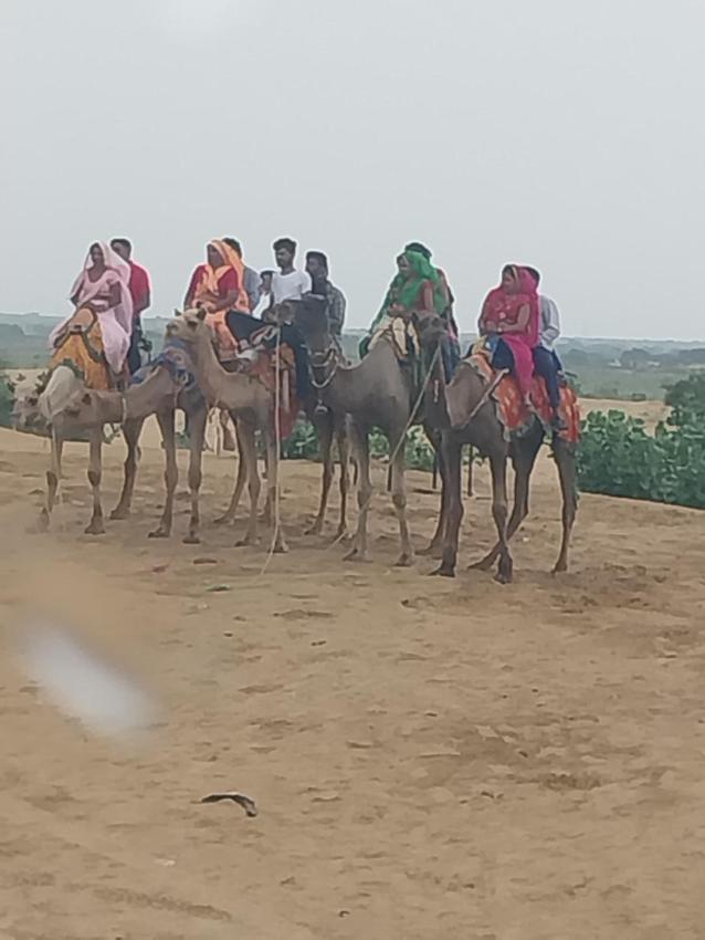 Sam Dunes Safari Camp