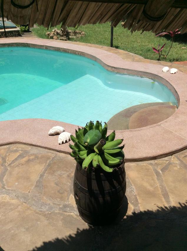 Garden house near Diani Beach road