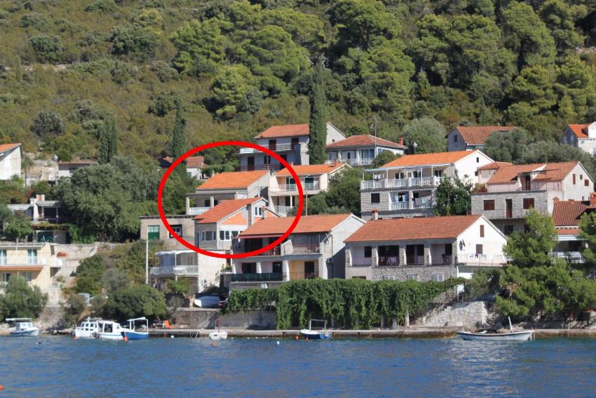 Seaside holiday house Brna, Korcula - 19219