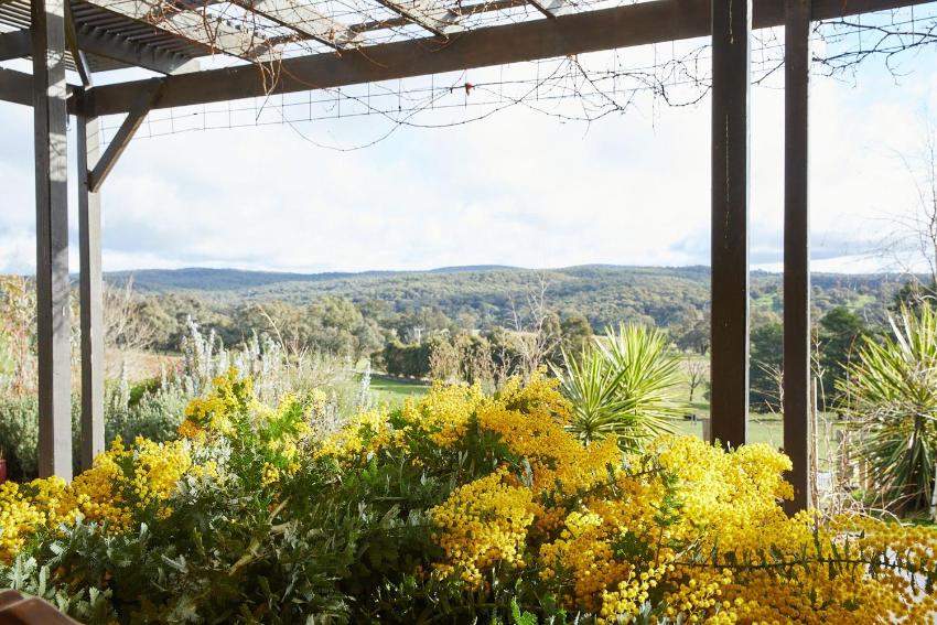 Daylesford Homestead