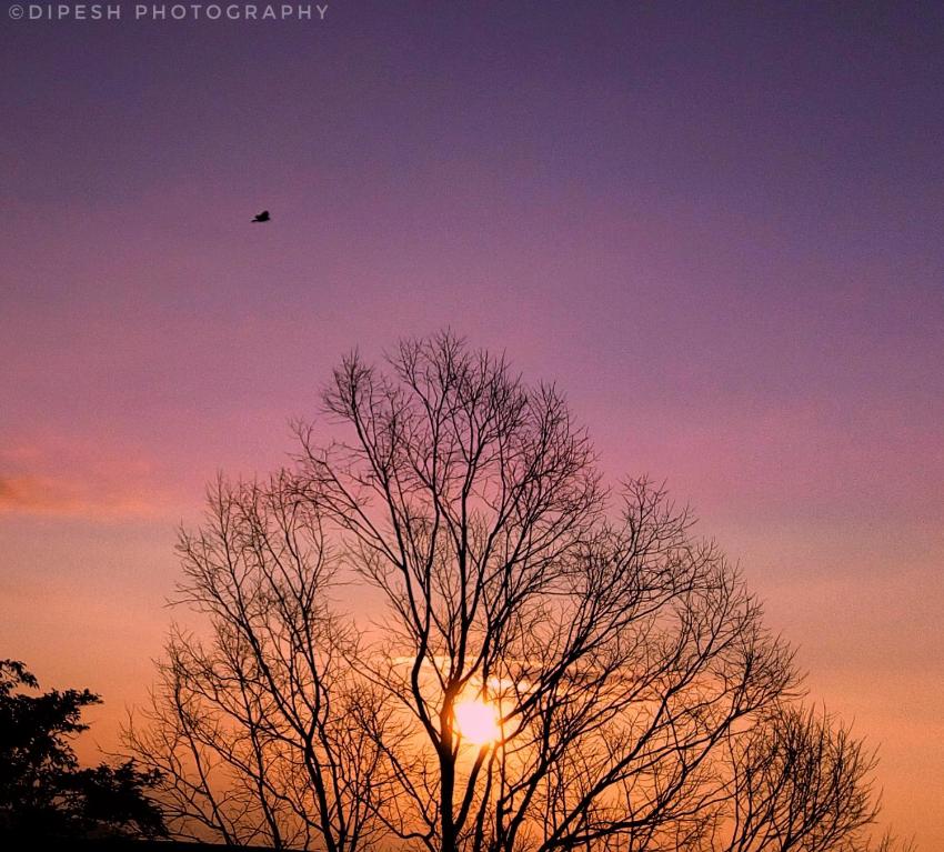 Januki wooden homestay