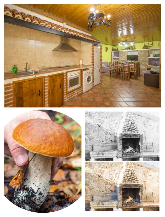 Don Mauricio y periquines