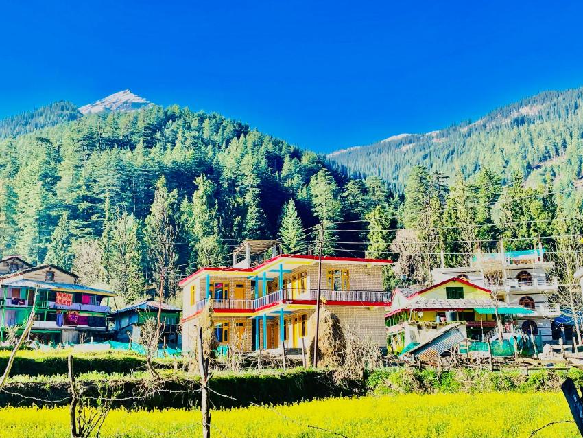 Starlight cafe&guesthouse