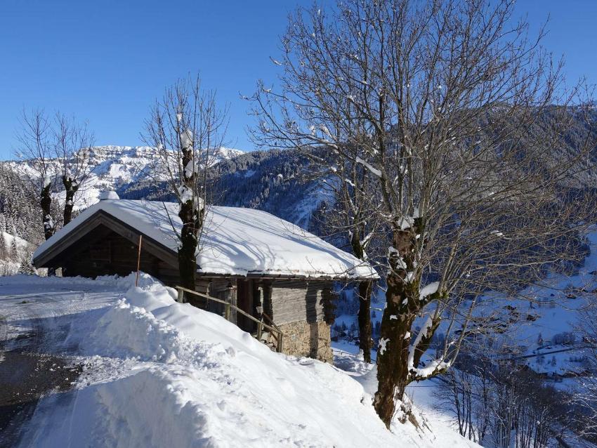Chalet Arêches-Beaufort, 4 pièces, 6 personnes - FR-1-342-158