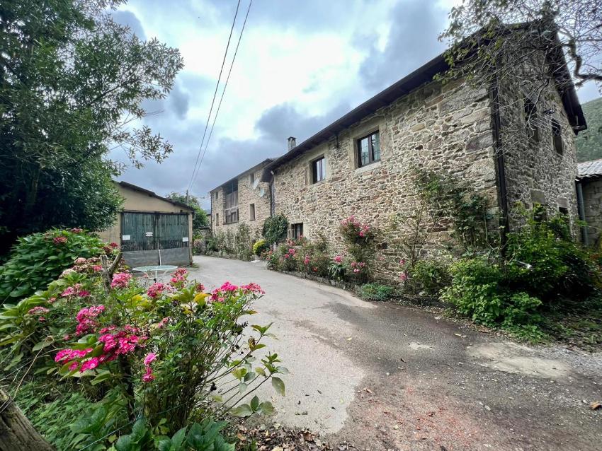 Casa rural con encanto, Wifi gratis, chimenea y piscina en Navelgas
