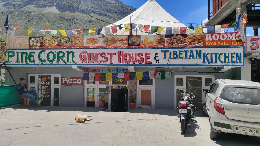 Pine corn guest house