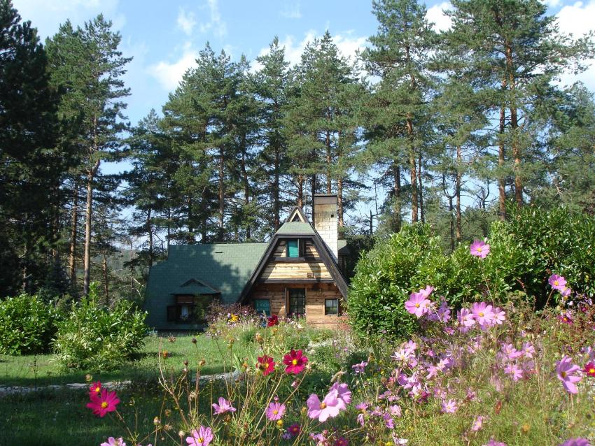 Zeleni Čardaci etno apartmani