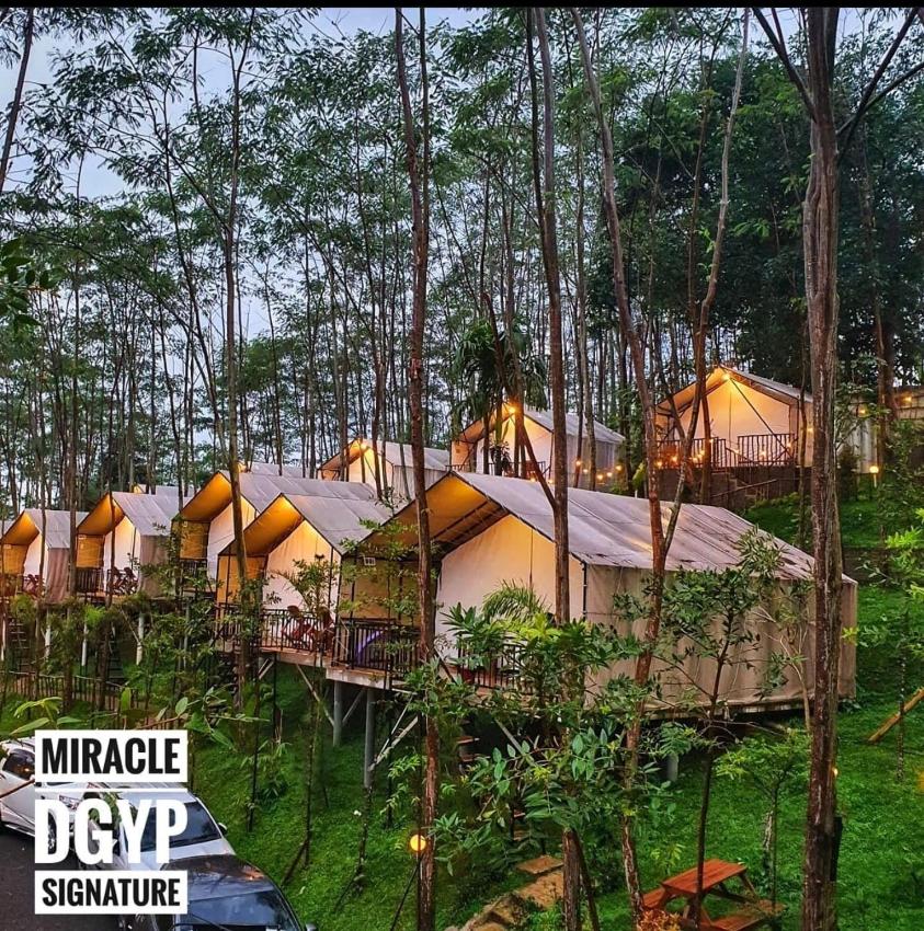 Miracle Signature Hills