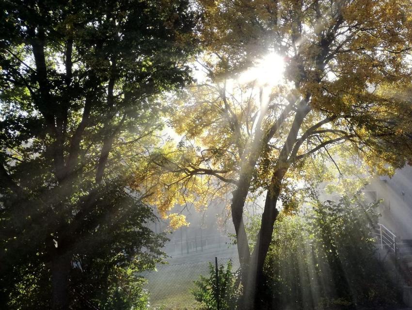 Ferienwohnung Schöne Aussicht