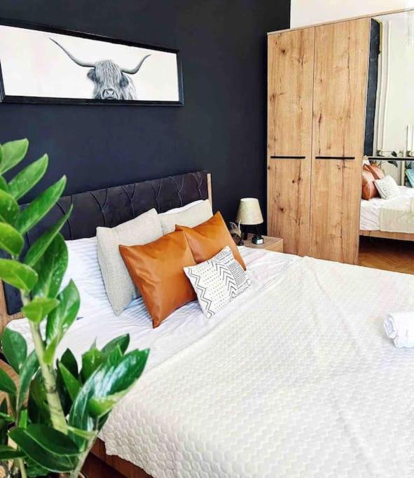 Modern & Rustic Apartment - City Center.