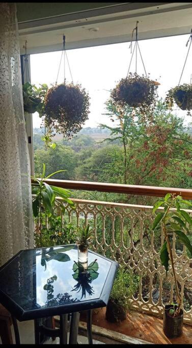 Beautiful and cosy 2 bhk flat near airport