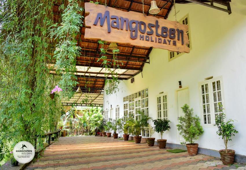 mangosteen holidays
