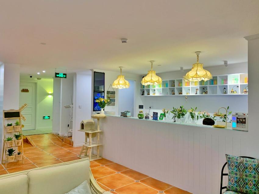 Hangzhou Dream Youth Hostel