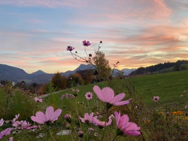 Ferienhaus Paradies Samerberg
