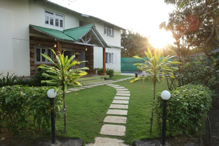 Green Ivy Stay by Green Petals