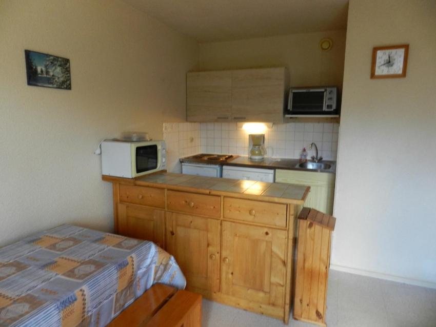 Appartement Le Pleynet, 2 pièces, 6 personnes - FR-1-557A-36