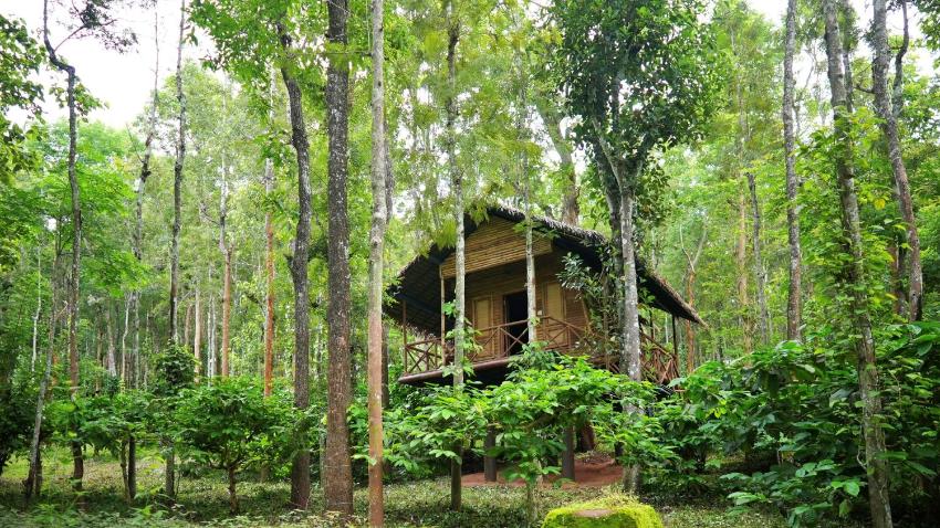 Adrak Mountain Mist Forest Resort