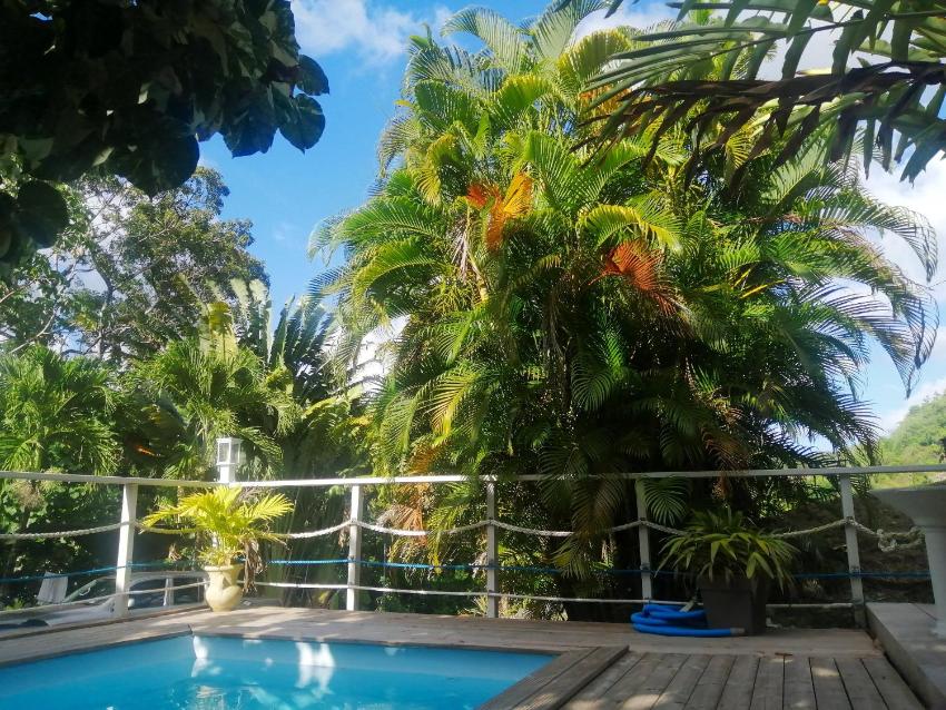 Appartement de 2 chambres avec piscine partagee jardin amenage et wifi a Riviere Pilote a 4 km de la plageB