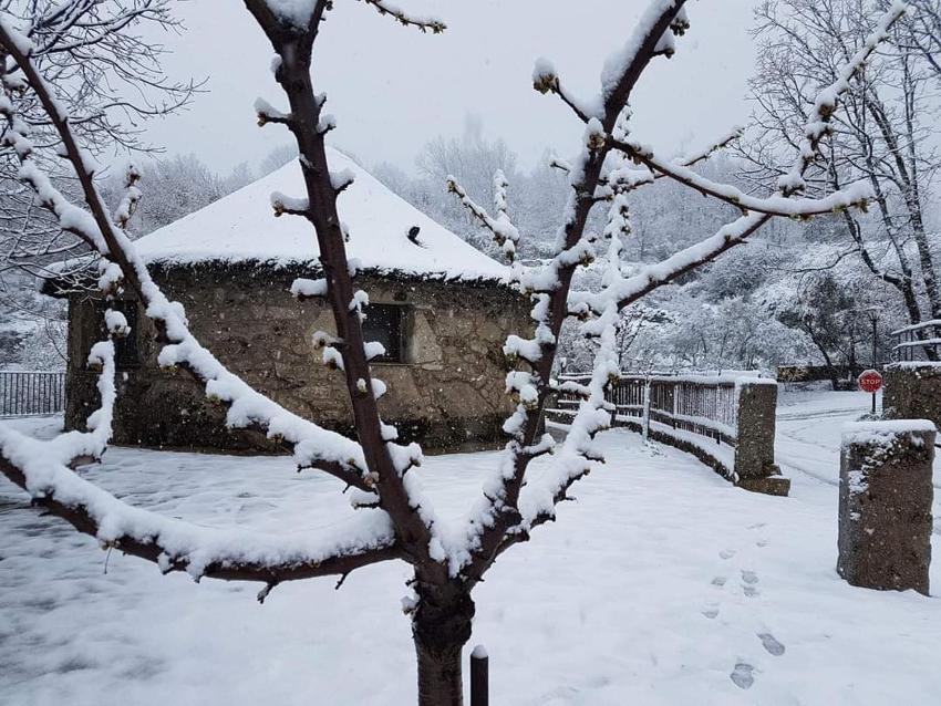 Chozos Rurales El Solitario