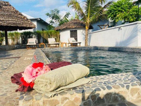 le jardin d'ampasikely B