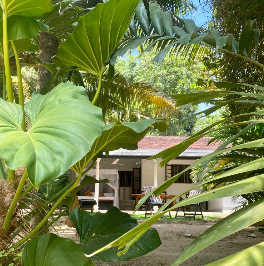 TS2W See More Beach Colonial Style Villa