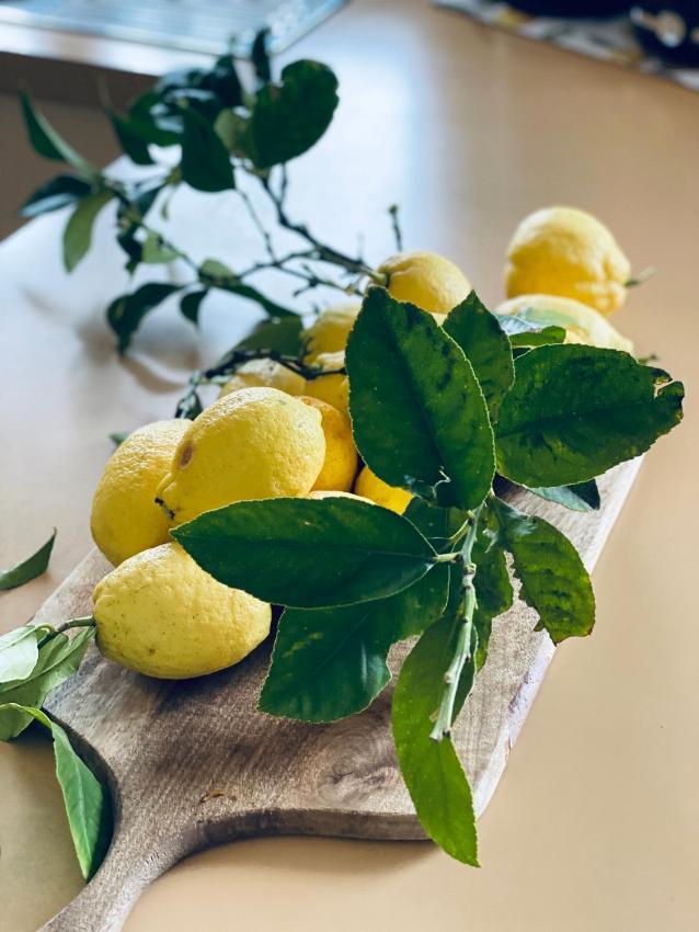 Stylish home Central Ballarat Close to Everything