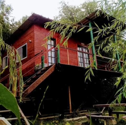 Buenos vientos tigre