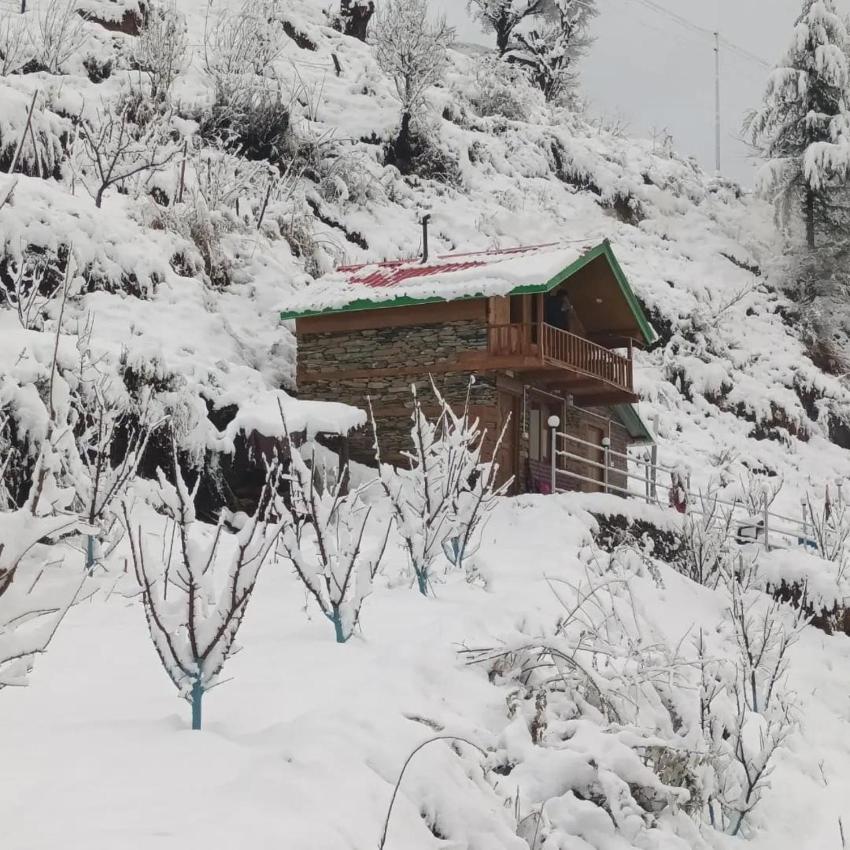 Tiny Home Farm stay at Sainj Village