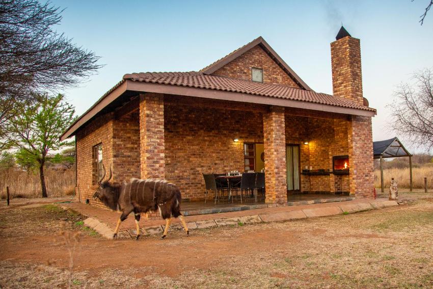 Sondela Nature Reserve & Spa Chalets
