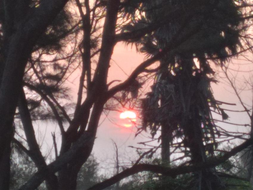 Happy Beach Guest House