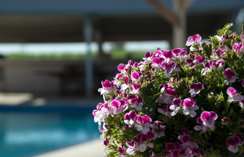 Dimora del Piano - Wine Relais