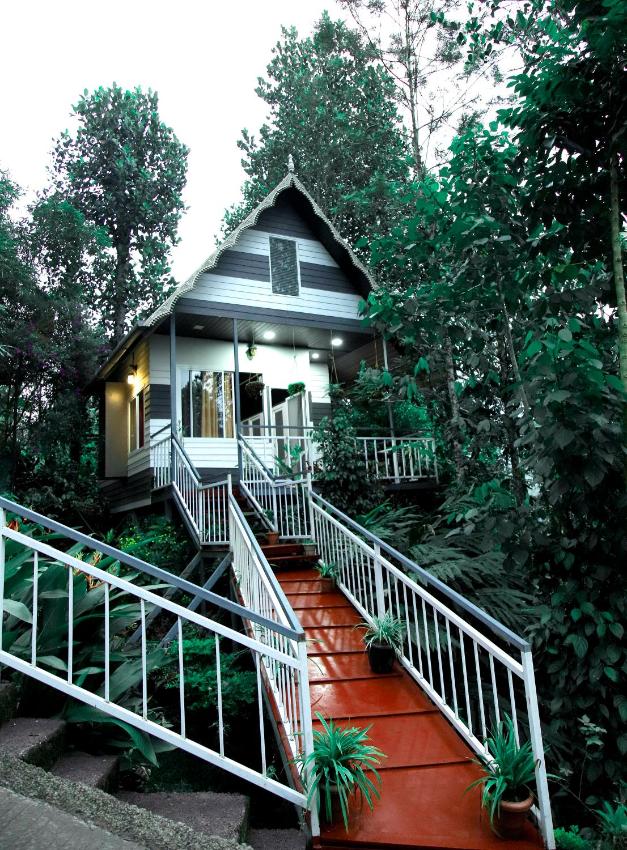 The Wayside Cottage Munnar