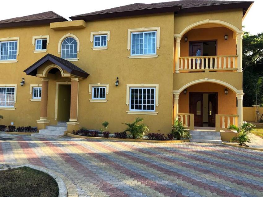 Peace Of Mind- Serenity Palm